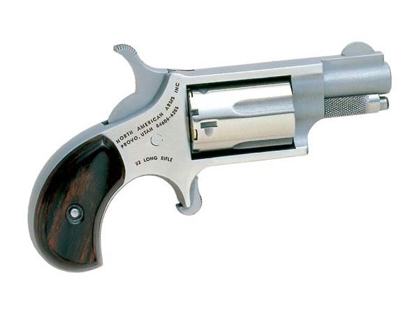Gun Review: NAA .22LR Mini Revolver - The Truth About Guns - 600 x 447 jpeg 17kB
