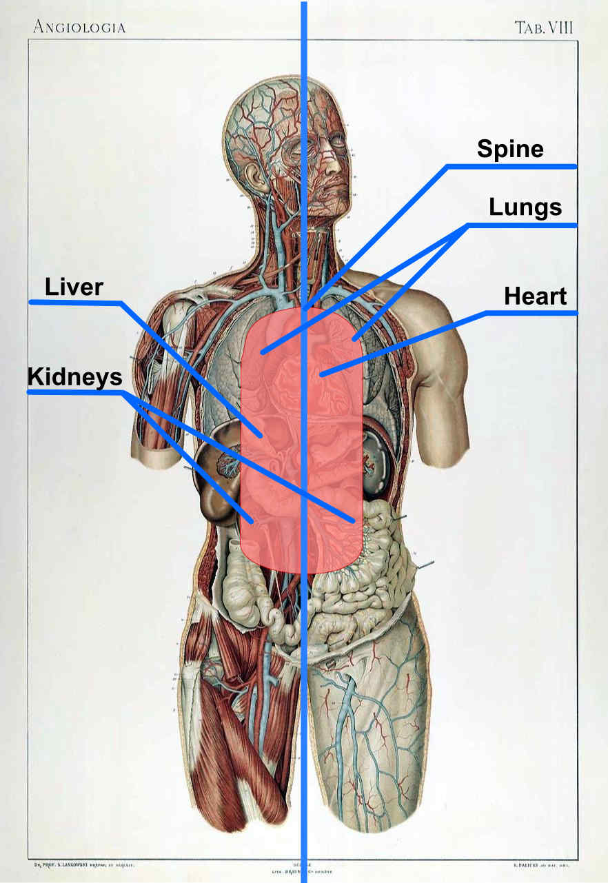 center-of-mass