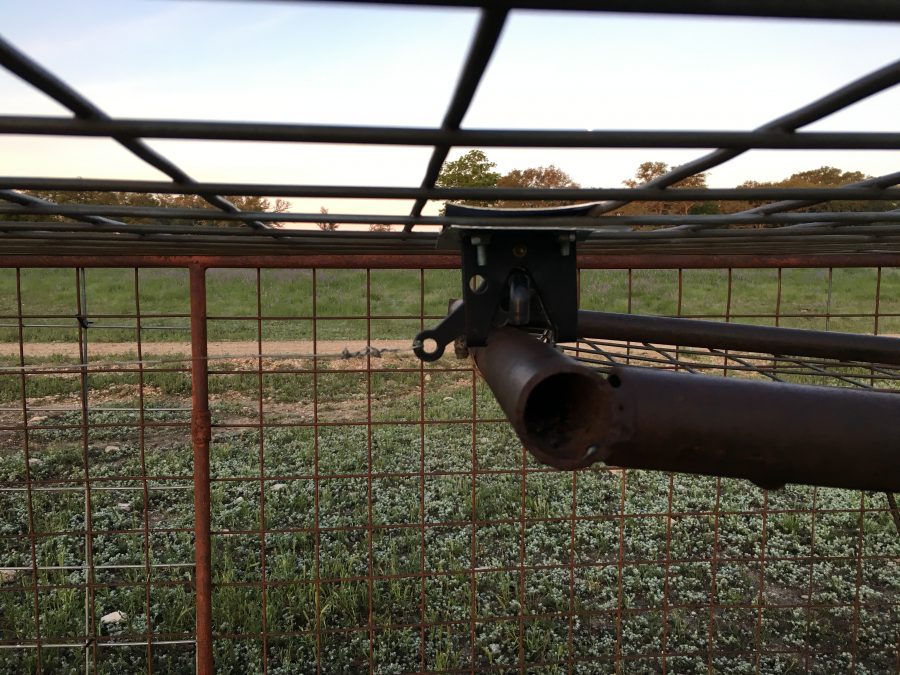 Pig Trapping: Lessons Learned - The Truth About Guns