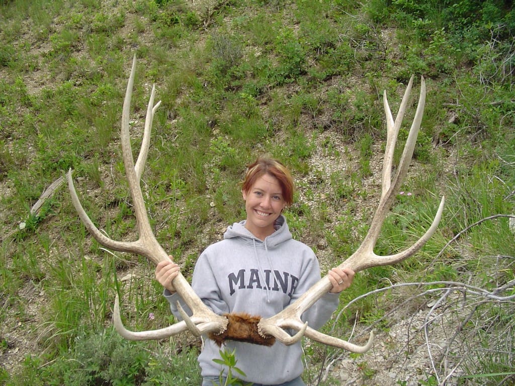 $500,000 Elk Antlers? [Not Shown] - The Truth About Guns