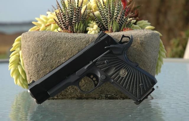 Wilson Combat Bill WIlson Carry - succulent (courtesy The Truth About Guns)