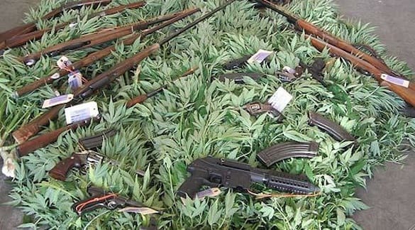Marijuana and guns (courtesy blogs.phoenixnewtimes.com)