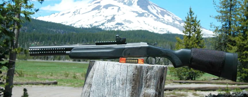Gun Review: Stoeger Double Defense Over/Under 12 Gauge - The Truth About  Guns