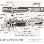 Caliber_30_Springfield_Rifle