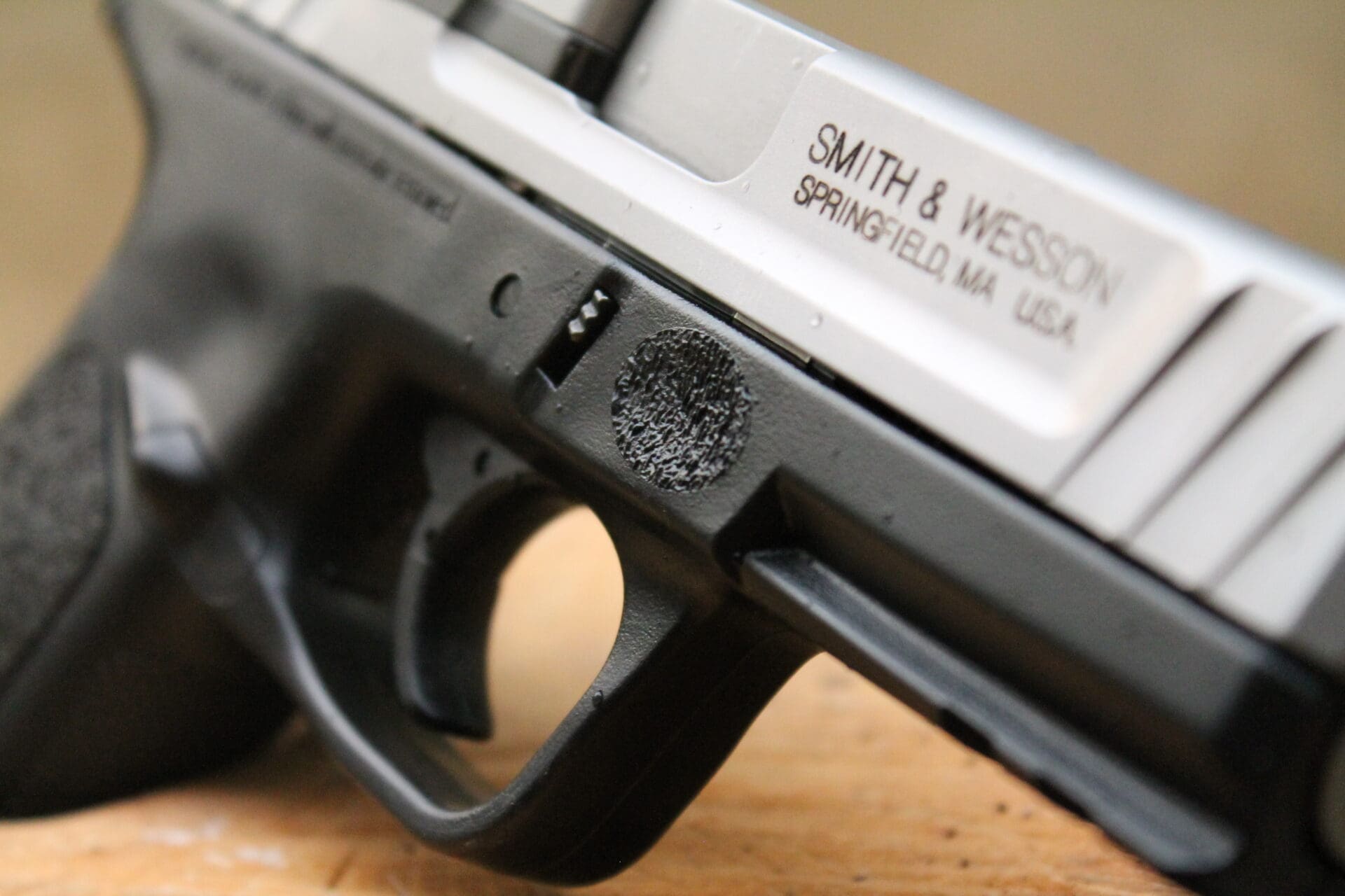Gun Review: Smith & Wesson SD9 VE