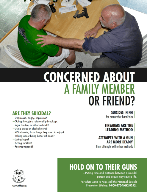 The Gun Shop Project's "HOLD ON TO THEIR GUNS" Poster