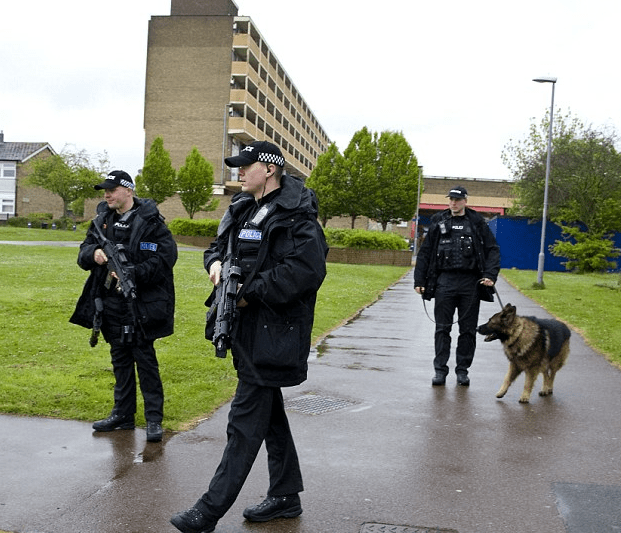 "Patrol: Armed police with a dog walk through the Marsh Farm estate in Luton after a spate of shootings in the Bedfordshire town" (photo and caption courtesy of dailymail.co.uk)