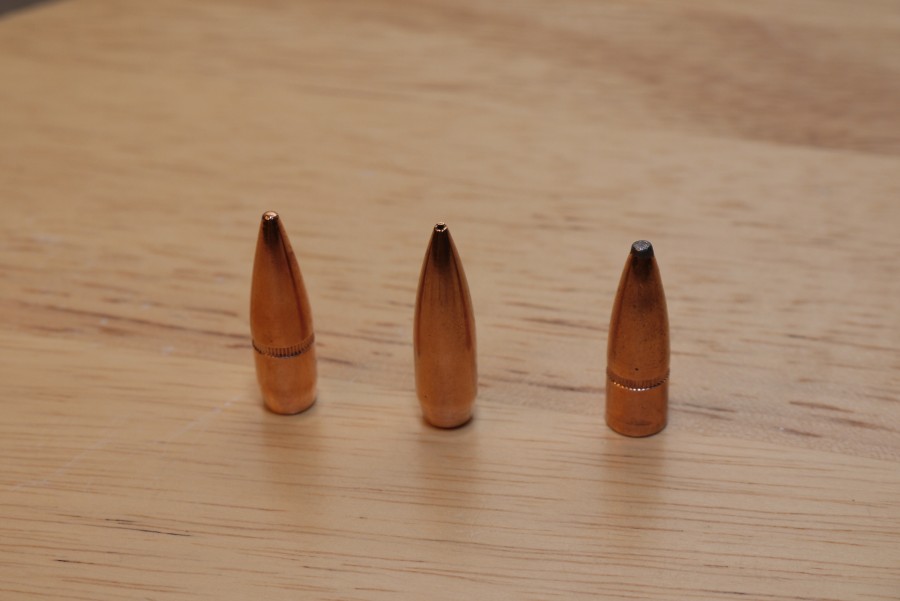308 bullets, c Nick Leghorn