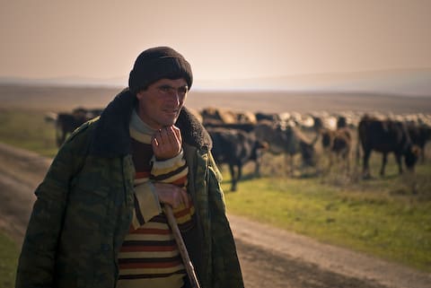 Azerbaijani shepherd (courtesy flikr.com)