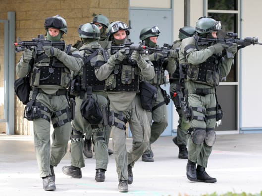 SWAT team (courtesy deadliestwarrior.wikia.com)