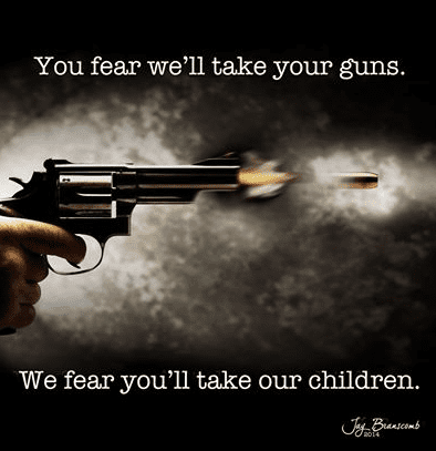 (courtesy Coalition to Stop Gun Violence)