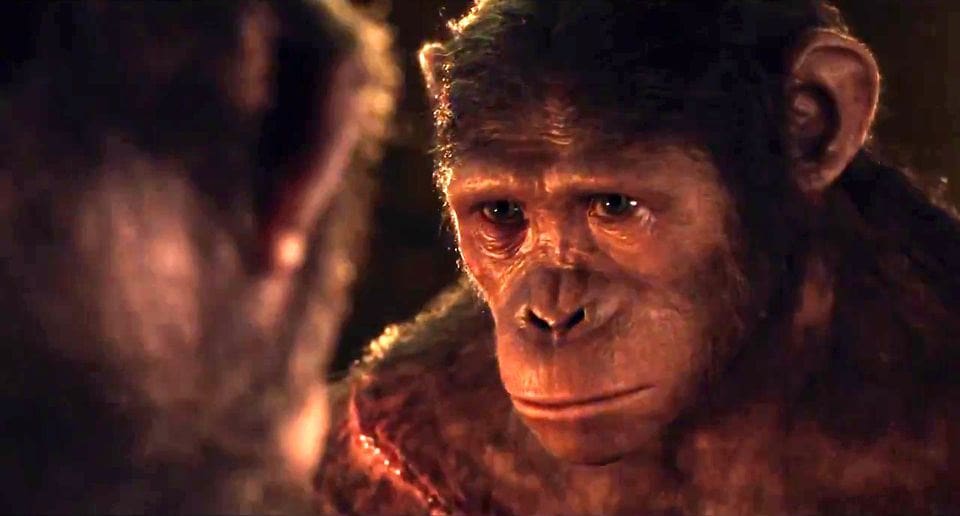 Dawn-Of-The-Planet-Of-The-Apes-7
