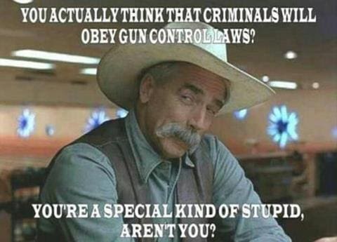 Gun-Control-Law-Criminal-Special-Kind-of-Stupid