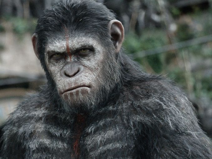 caesar-is-back-dawn-of-the-planet-of-the-apes-review-bcf26ce0-3c01-4bad-bebf-e5a78553c2ec
