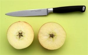 Fruit knife (courtesy telegraph.co.uk)