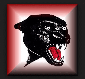 Proviso West High School Panthers mascot (courtesy proviso.k12.il)