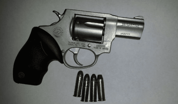 "Two Brooklyn cops took a gun off the street with the help of the ShotSpotter system and a bit of confusion, police sources said Monday." (photo and caption courtesy nydailynews.com)