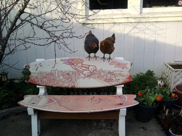 The bench in question. Chickens keeping the yard safe from intruders.