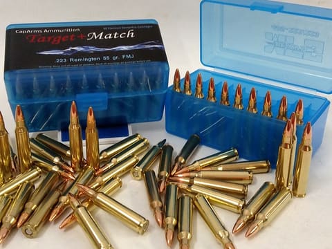 CapArms Target + Match ammo (courtesy capaarms.com)