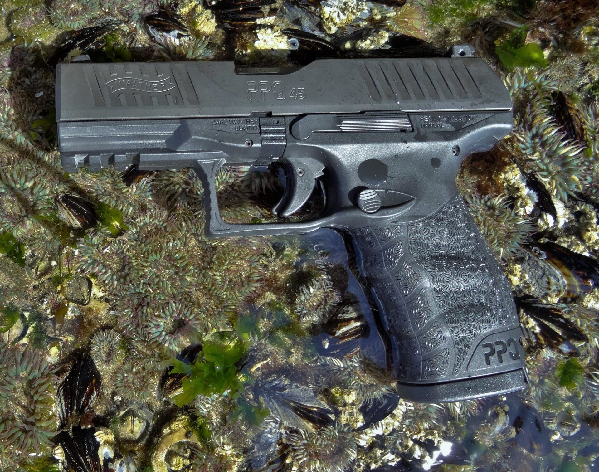 Gun Review: Walther PPQ .45 ACP - The Truth About Guns