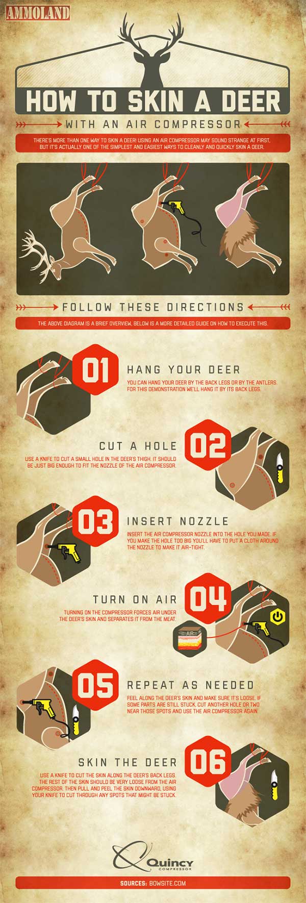 How to skin a deer (courtesy ammoland.com)