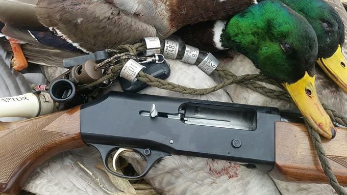 Phil Bourjaily's wooden stock shotgun and a couple of its %22victims%22 (courtesy fieldandstream.com)