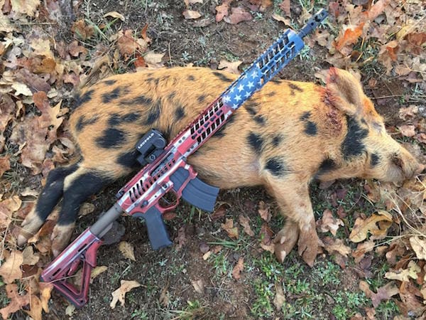 AR-15 hunting liberte austin pig wild hog shoot hunt