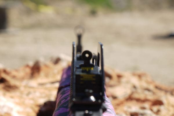 Gun Review: Hi Point Carbine 995TS
