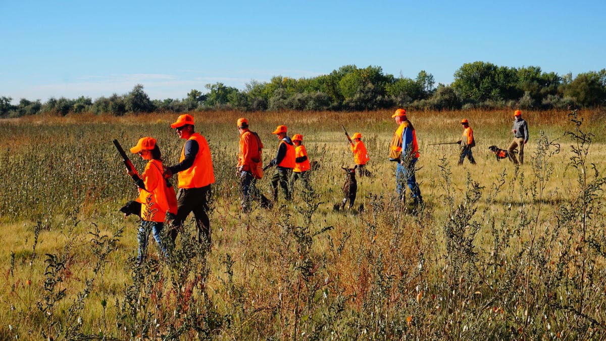 Kids in Idaho on their first hunt organized by Pheasants Forever. 
