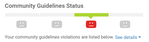 YouTube community standards status bar (courtesy youtube.com)