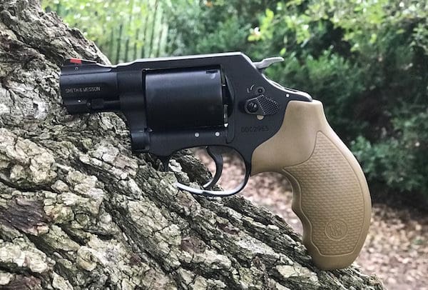 Smith & Wesson Model 360 Magnum (courtesy thetruthaboutguns.com)