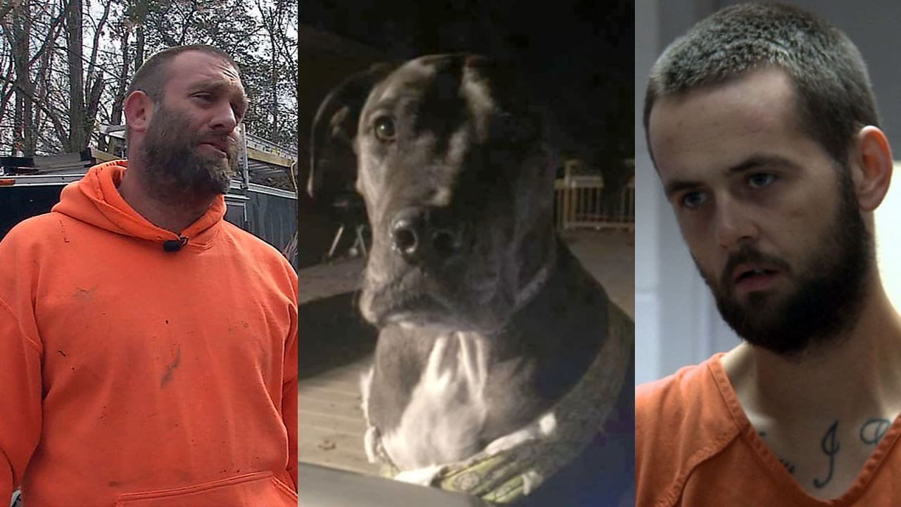 Kentucky homeowner stops robber with a gun and a dog named Tank. 