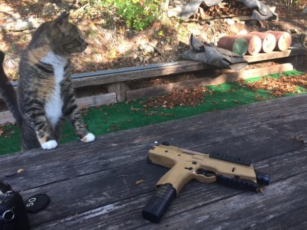B&T TP9 and cat (courtesy Chris Heuss for thetruthaboutguns.com)