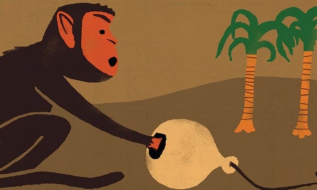 Monkey trap courtesy The Guardian