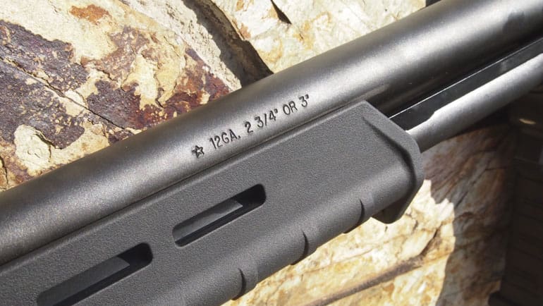 The new Remington 870 DM goes hog hunting in Texas. 