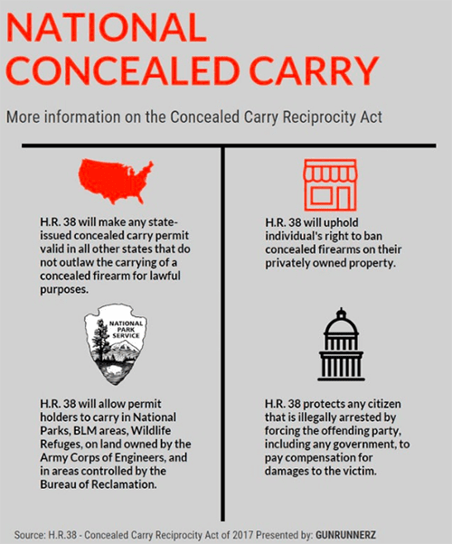 National reciprocity is the NRA's dream (courtesy reddit.com and gunnerz)