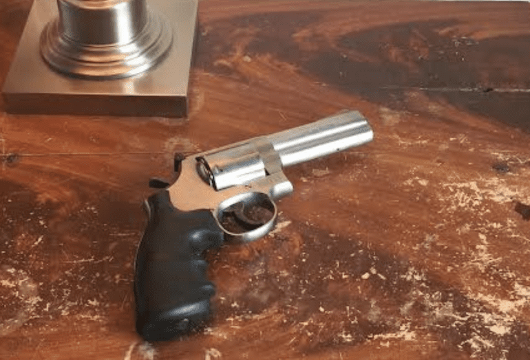 Smith & Wesson 686 (courtesy thetruthaboutguns.com)