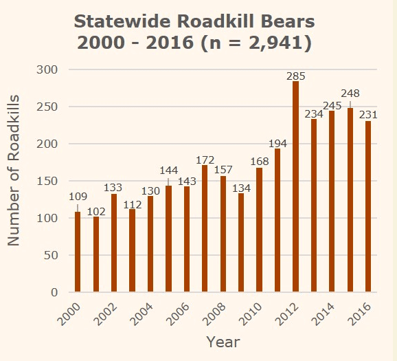 Florida black bear road kill stat (courtesy myfwc.com)