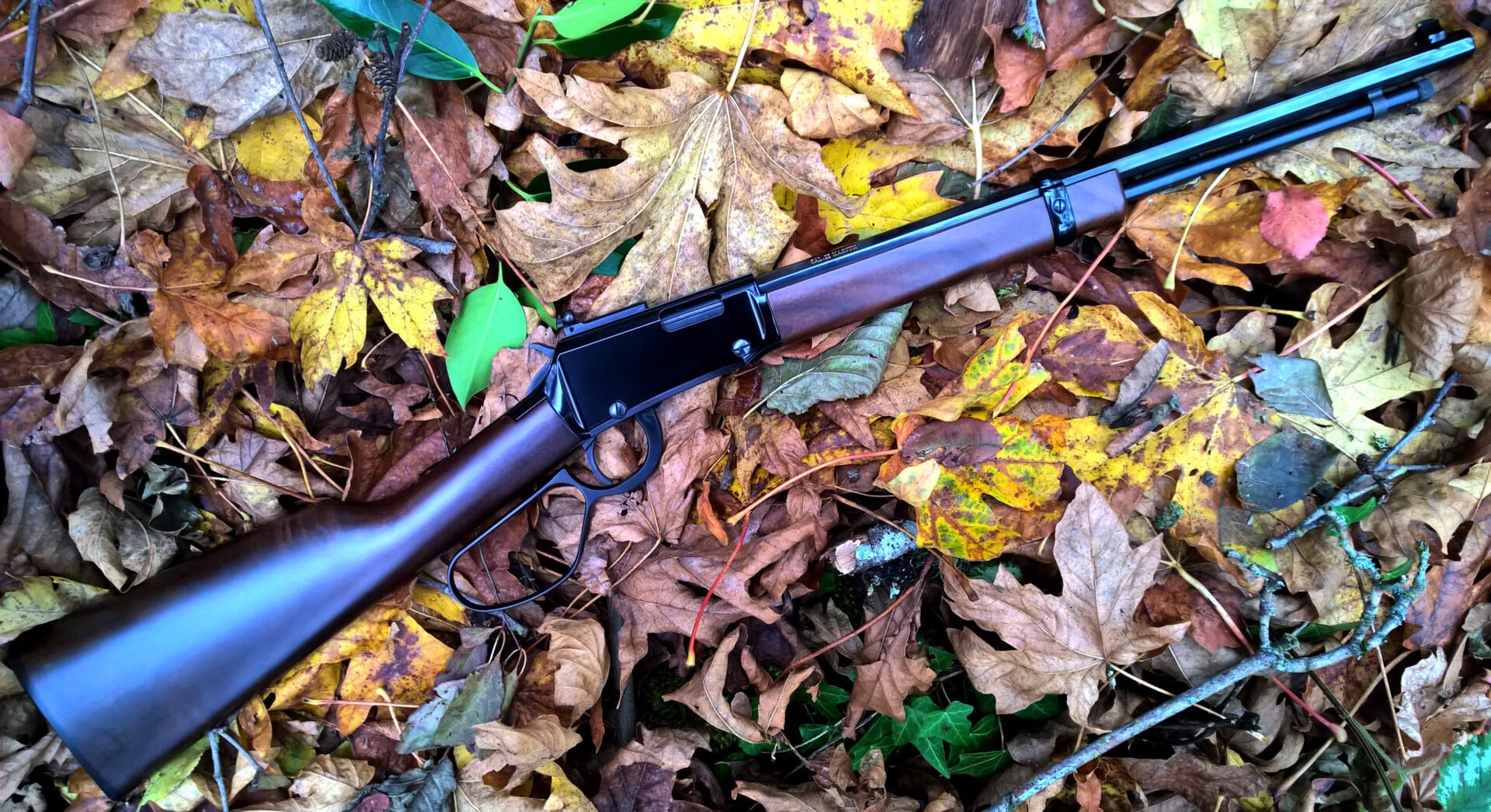 Gun Review Henry Repeating Arms Small Game Carbine 22 Wmr The Truth About Guns