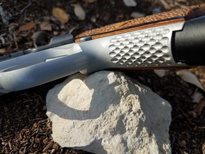 Kimber Micro 9 Raptor front strap (image courtesy of JWT for thetruthaboutguns.com)