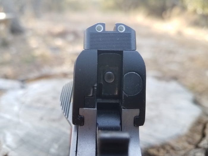 Kimber Camp Guard rear sight (photo courtesy of JWT for thetruthaboutguns.com)