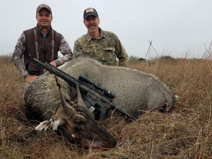 Downed nilgai with guide Weston and .458 Ham'r (image courtesy of Jay Pinsky)