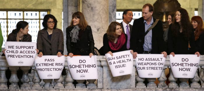 Washington state gun control advocates' platform (courtesy seattletimes.com)