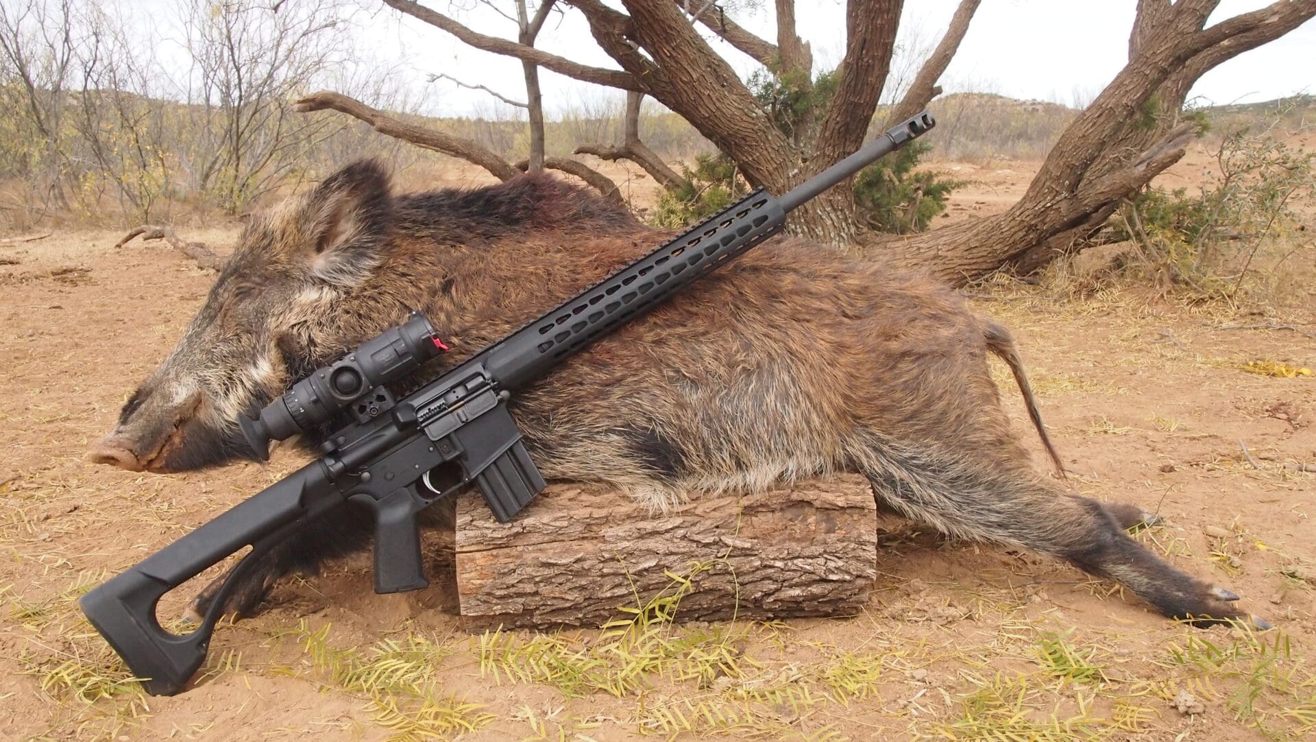 Feral hog hunting hunt ar-15 MSR caliber
