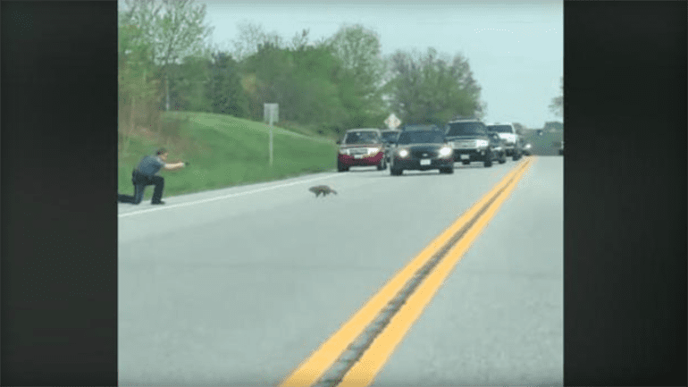 maryland cop shoots groundhog