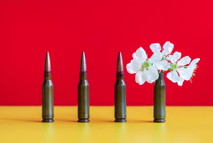flowers guns bullets