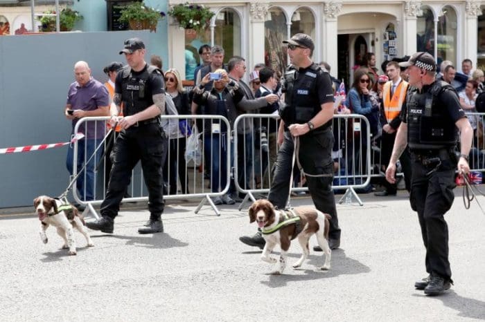 A Look at Security At the Royal Wedding