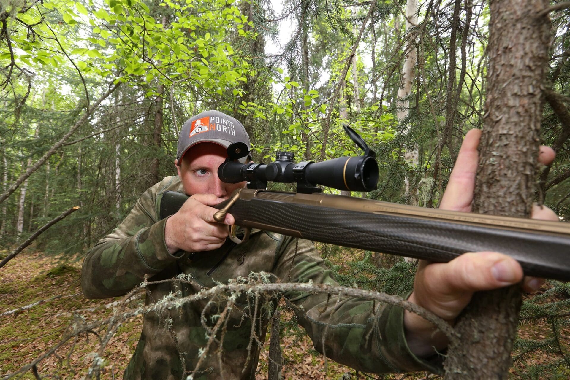 Alaska Hunting Hunter Regulation Bear Bait Elk