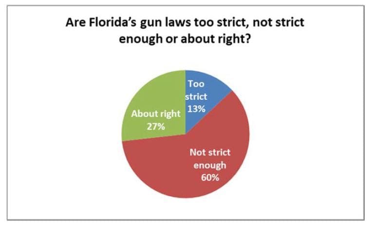 Florida Gun Control Opinions