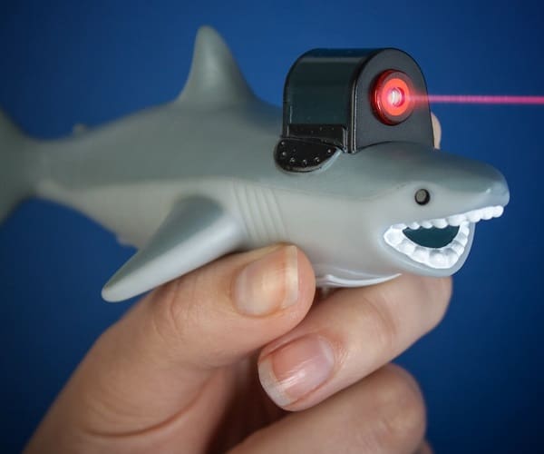 Sharks With Frickin Laser Beams On Their Heads
